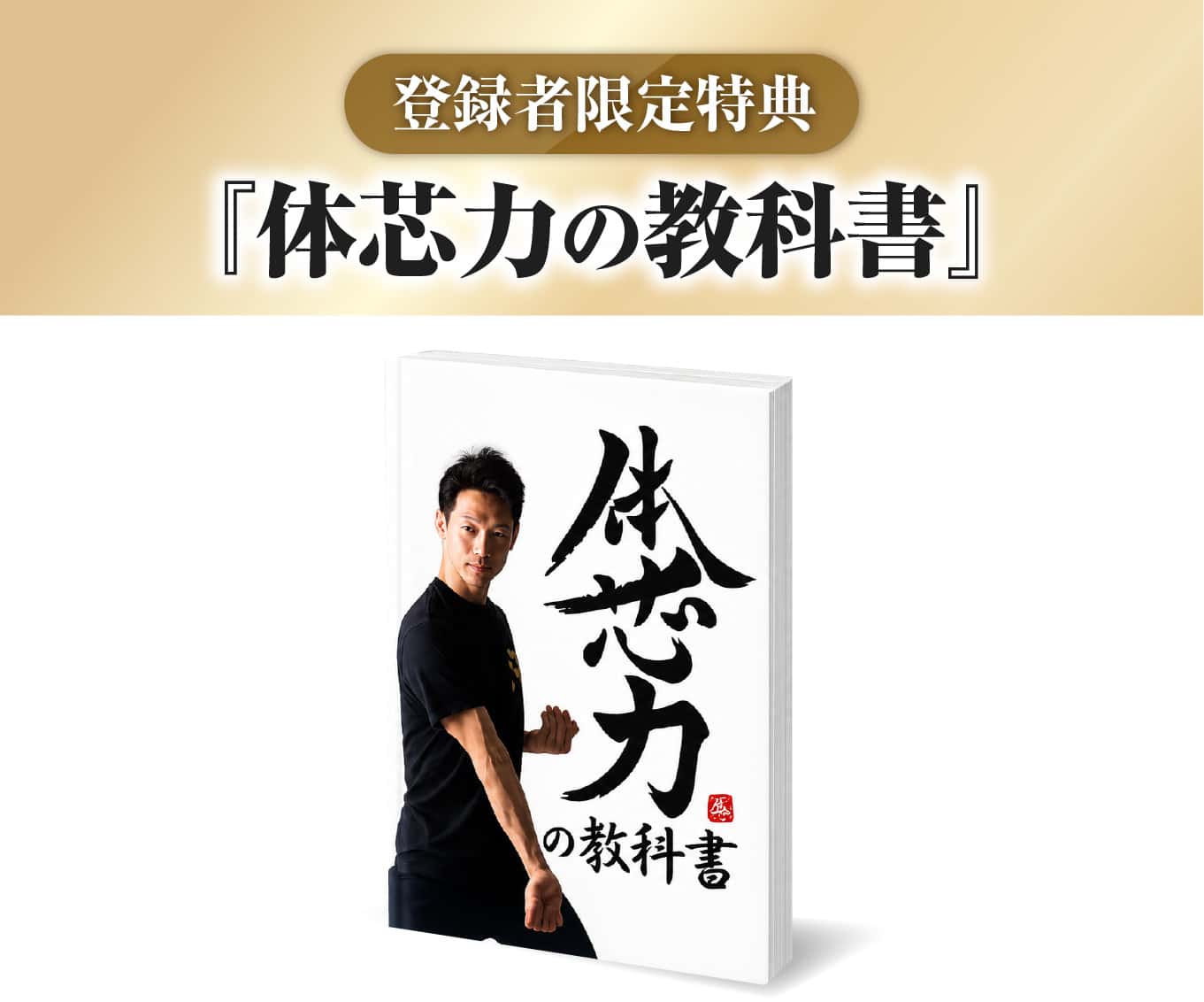 体芯力の教科書